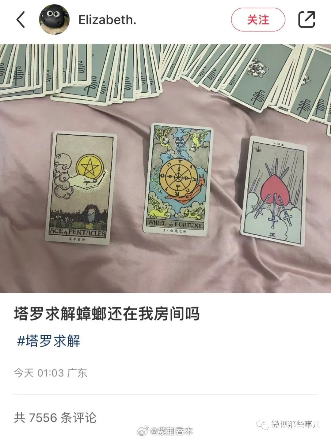 网友病急乱投医拿塔罗牌算蟑螂还在房间吗？卡牌结果笑死我了！